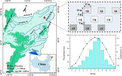 Burning alters the decomposition of residual plant litters in Calamagrostis angustifolia wetlands in the Sanjiang Plain (Northeast China)